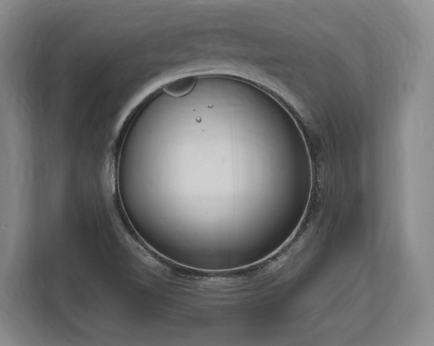 X0000113741510200909231141