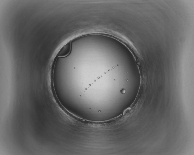 X0000113741512200909231141