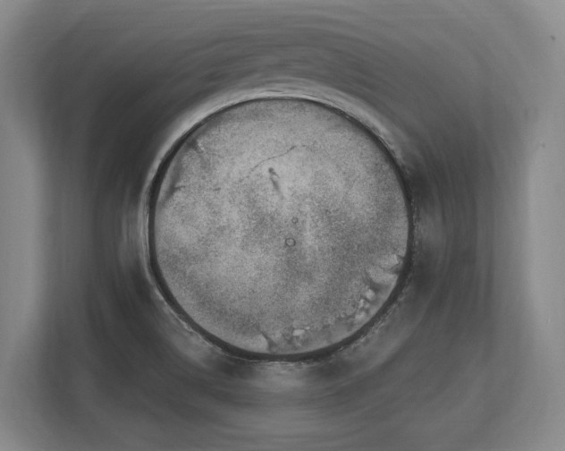 X0000113741514200909231141