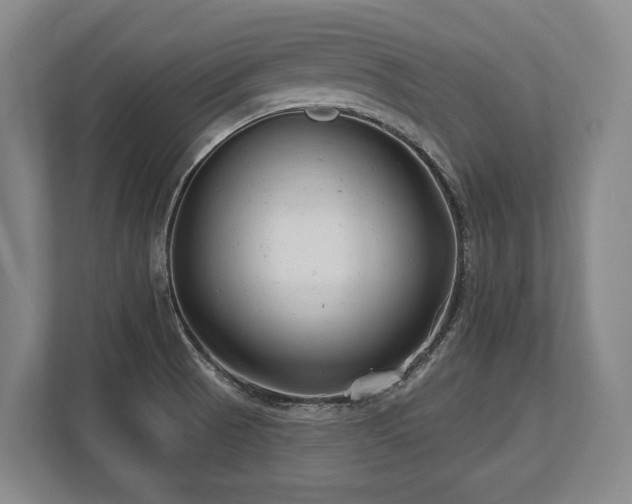 X0000113741521200909231142