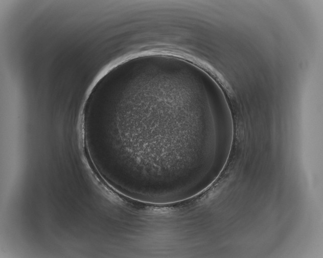 X0000113741522200909231142