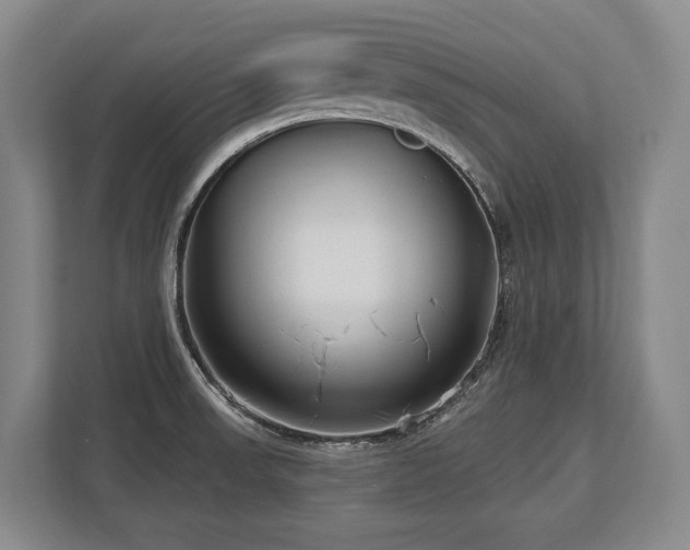 X0000113741523200909231142