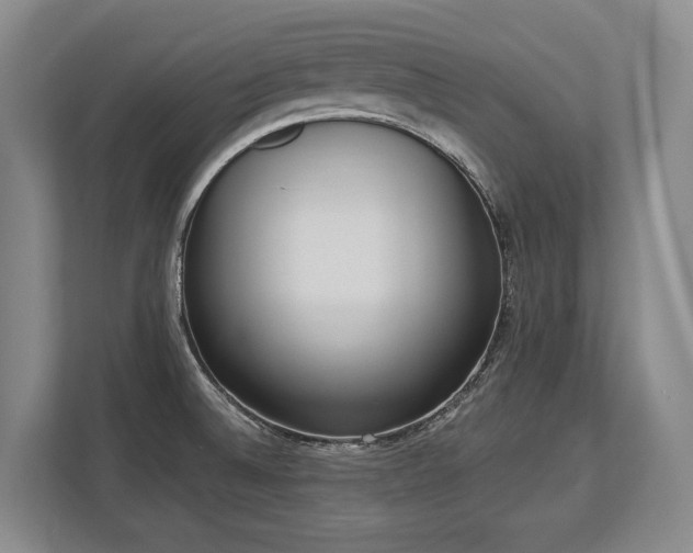 X0000113741524200909231142