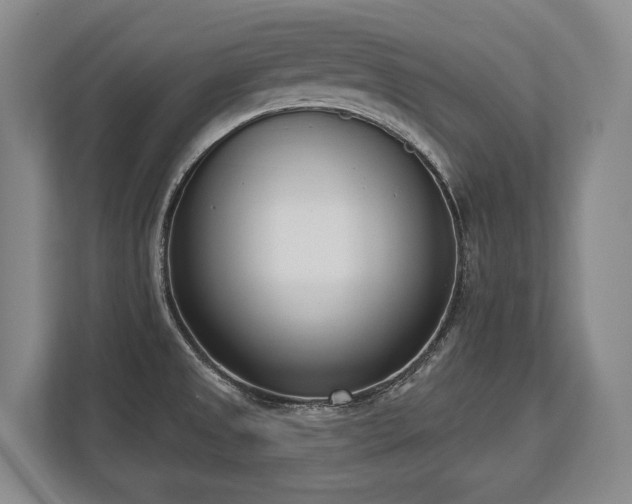 X0000113741525200909231142
