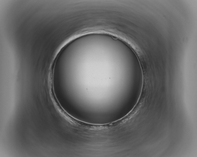 X0000113741526200909231142