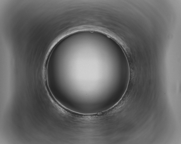 X0000113741527200909231142
