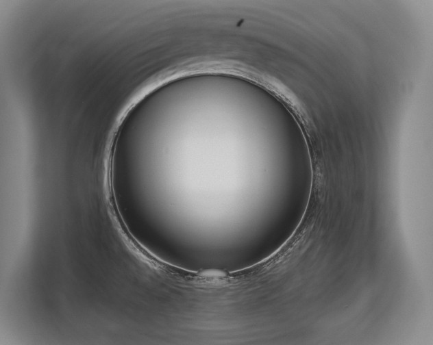 X0000113741528200909231142