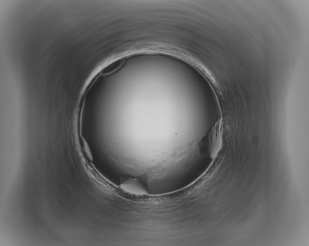 X0000113741530200909231142
