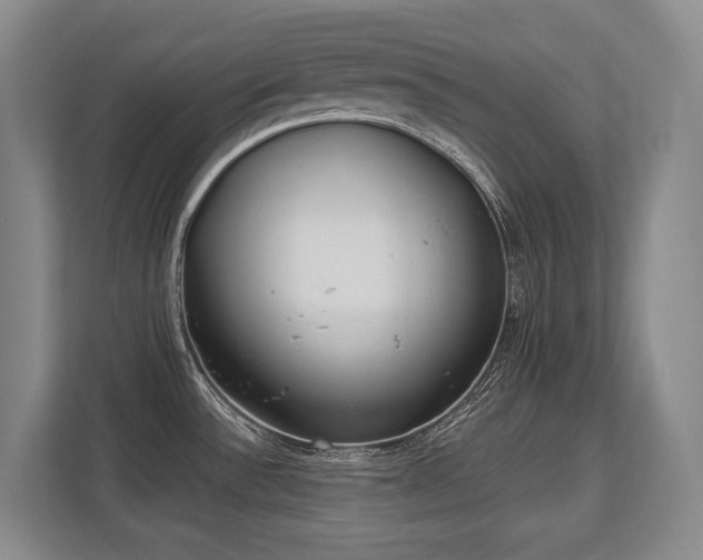 X0000113741532200909231142