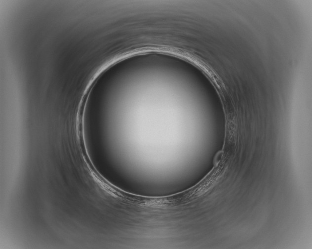X0000113741535200909231142