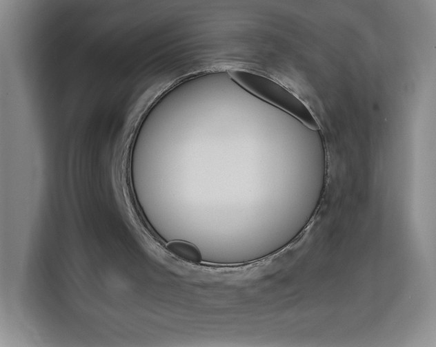 X0000113740001200909301021