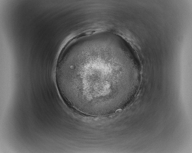 X0000113740003200909301021