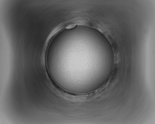 X0000113740004200909301021