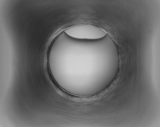 X0000113740005200909301021