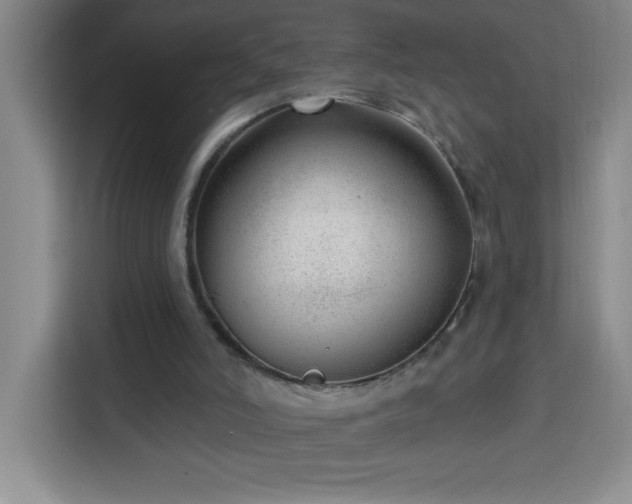 X0000113740006200909301021