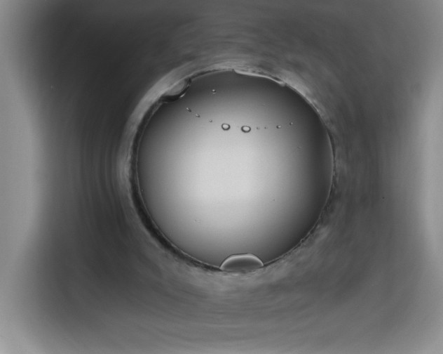 X0000113740007200909301021