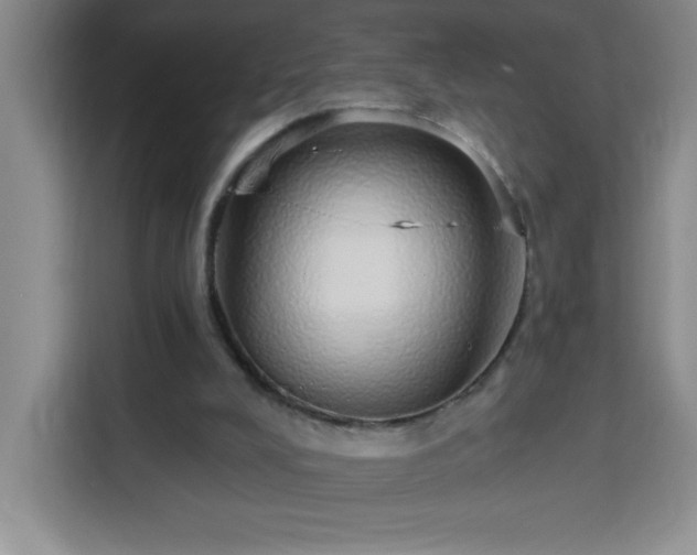 X0000113740008200909301021