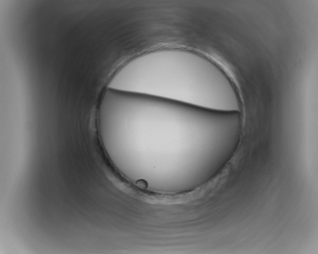 X0000113740009200909301021