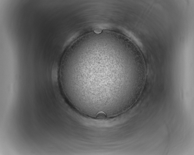 X0000113740010200909301021