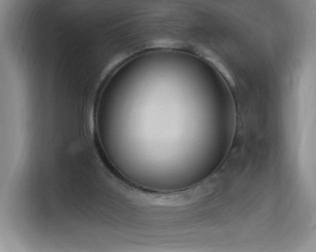 X0000113740011200909301021