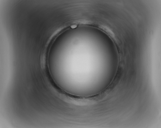 X0000113740012200909301021