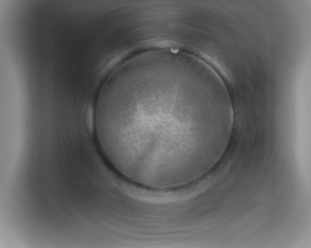 X0000113740014200909301021