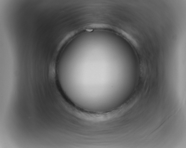 X0000113740015200909301020