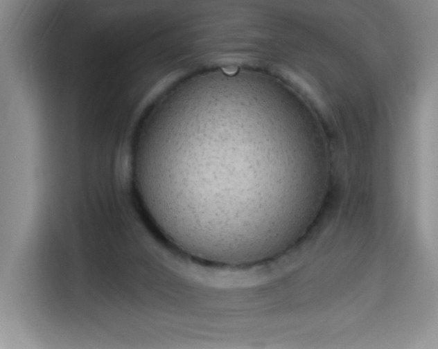 X0000113740016200909301020