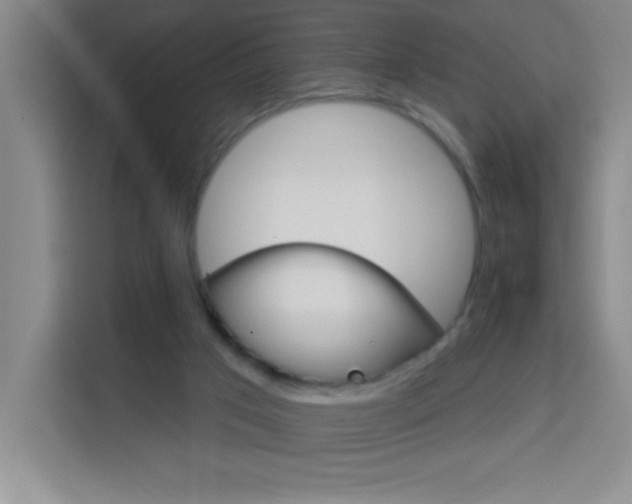 X0000113740017200909301020