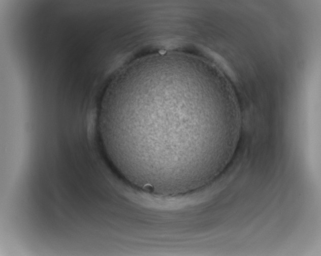 X0000113740018200909301020