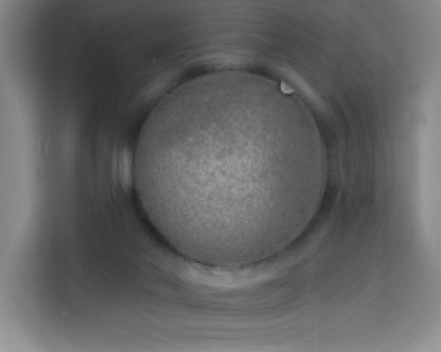 X0000113740022200909301020