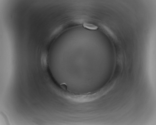 X0000113740023200909301020