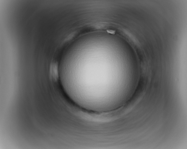 X0000113740028200909301020