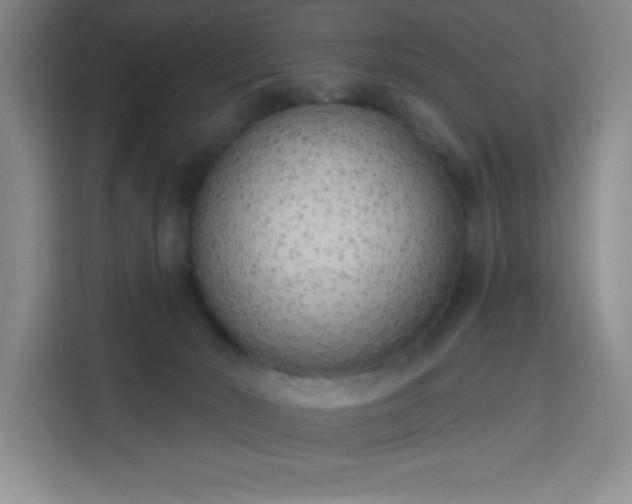 X0000113740030200909301020