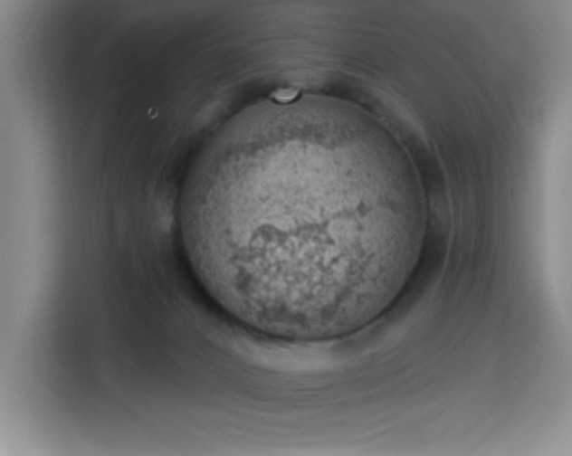 X0000113740032200909301020