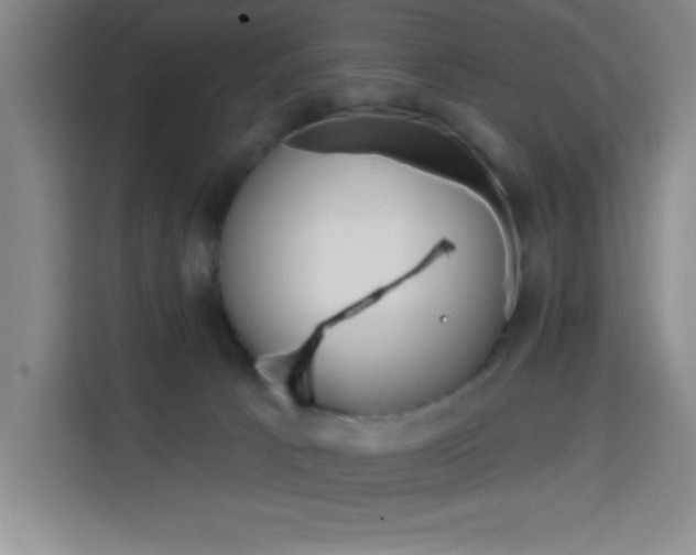 X0000113740033200909301020