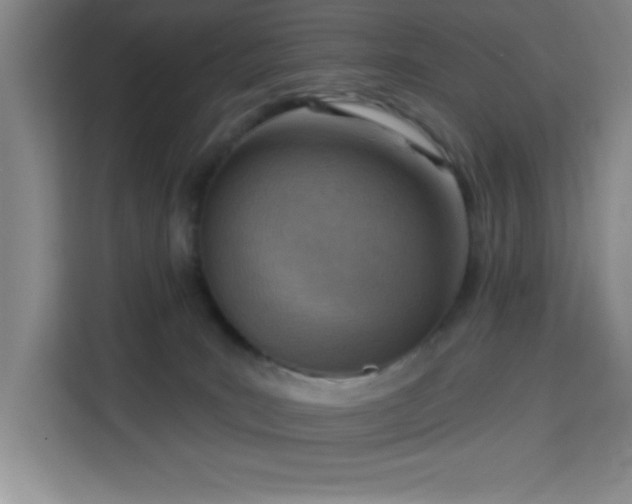 X0000113740035200909301020