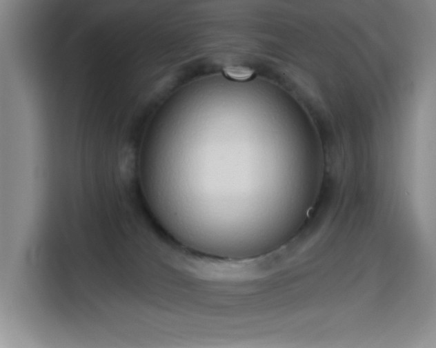 X0000113740036200909301020