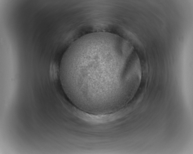 X0000113740038200909301020