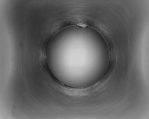 X0000113740040200909301020