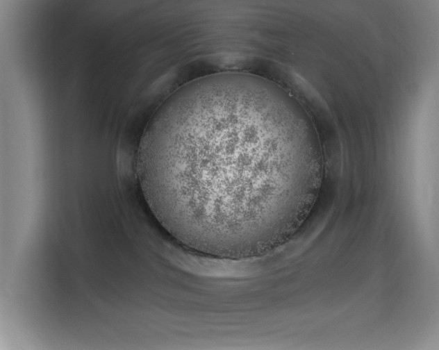 X0000113740044200909301020