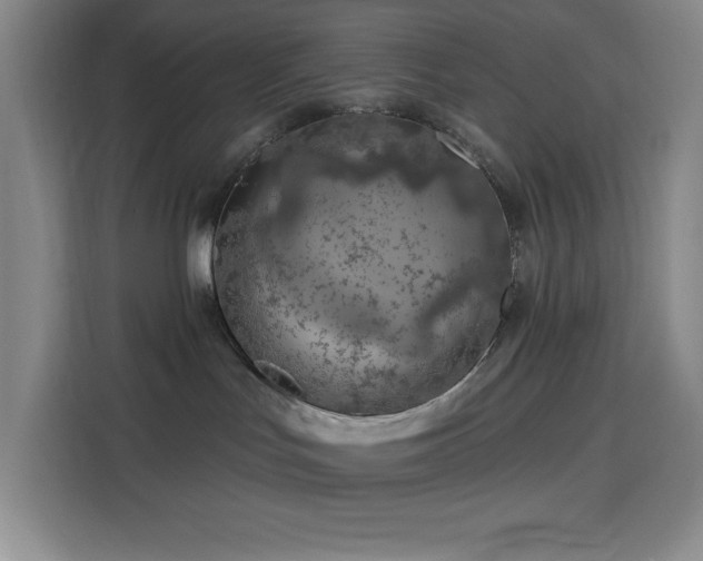 X0000113740047200909301020