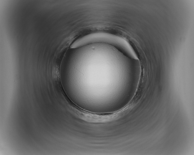 X0000113740048200909301020