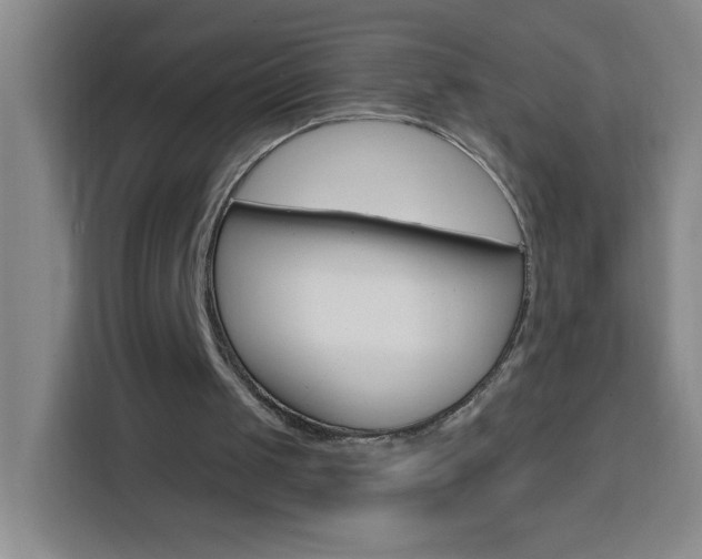 X0000113740049200909301019