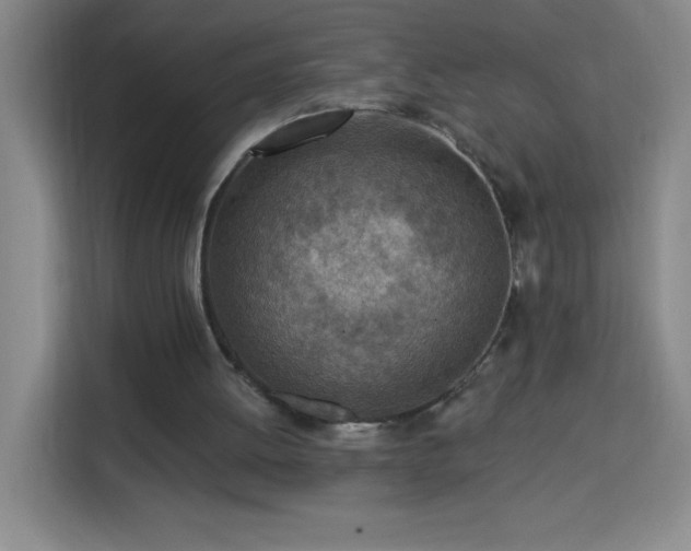 X0000113740052200909301019