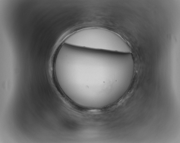 X0000113740053200909301019