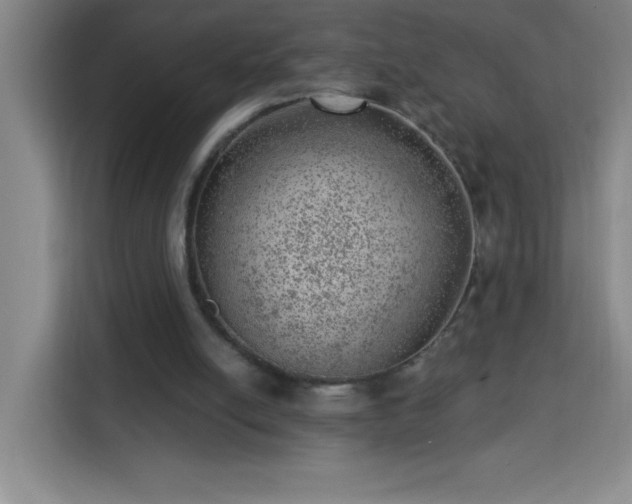 X0000113740054200909301020