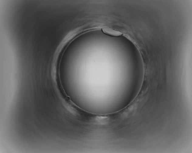 X0000113740055200909301020