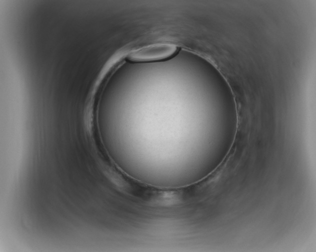 X0000113740056200909301020