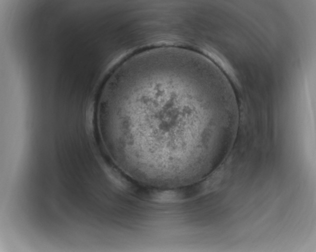 X0000113740058200909301020